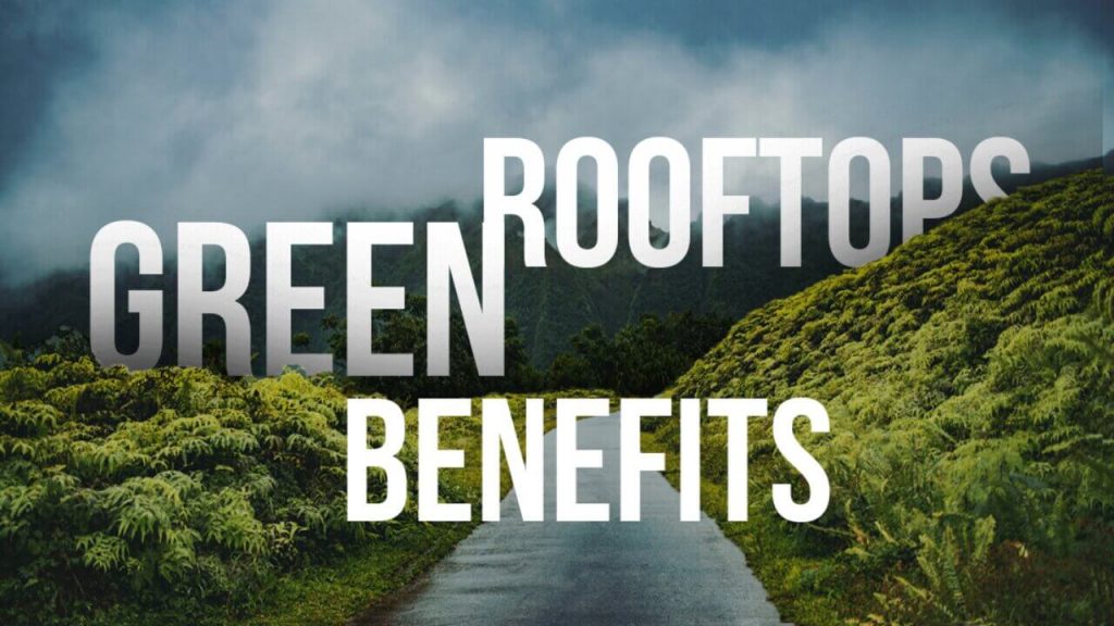 Green Rooftops,Green Rooftops Benefits,Benefits of Green rooftops