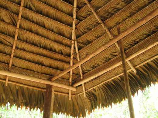 What is Thatch Roof and Its Advantages & Disadvantages