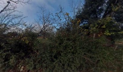 thumbnailpanoid0GYKXSinTcSNlVYVk9g49gcb_clientsearch.gws-prod.gpsw408h240yaw277.46744pitch0thumbfov100.jpeg