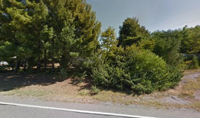 thumbnailpanoid0s94TWXxC-Ylj-ij_1Ibpwcb_clientsearch.gws-prod.gpsw408h240yaw40.30399pitch0thumbfov100.jpeg