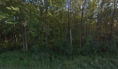 thumbnailpanoid5oBAB1C5SyRXLdtIL9pdsAcb_clientsearch.gws-prod.gpsw408h240yaw178.24974pitch0thumbfov100.jpeg