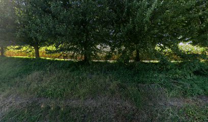 thumbnailpanoidwYsQVA7vUbkYe1HDUFYCxgcb_clientsearch.gws-prod.gpsw408h240yaw252.44424pitch0thumbfov100.jpeg